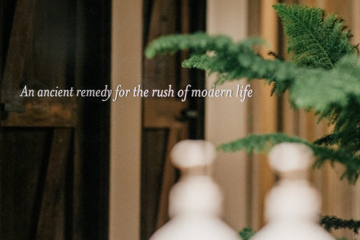 Navia's motto, an ancient remedy for the rush of modern life, lettered on glass behind pine branches